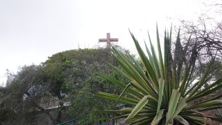 2022-03-GranCan-Las_Palmas-Santa_Ana--Doramas-PM-NN-091.JPG